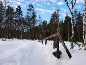 Nyrölä Nature Trail