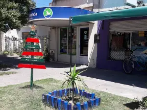 Plaza Barrio Jardin