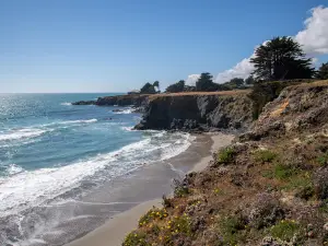 Pebble Beach