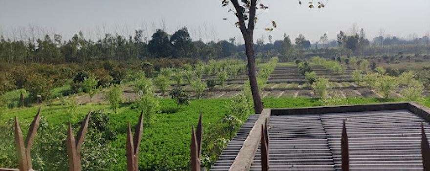 sandeep farm house