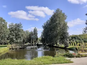 Летний сад