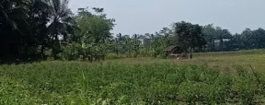 Pemandian Lumpur Belerang