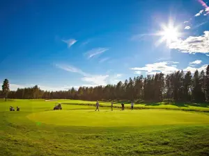 Hiekkasärkät Golf Oy