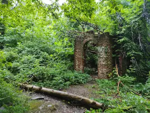 The Corpsewood Manor