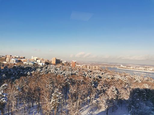 Grove Zvezdochka