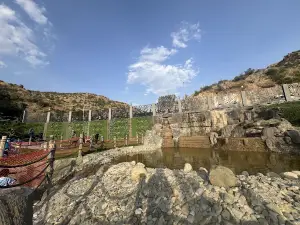 Khairah Forest Park