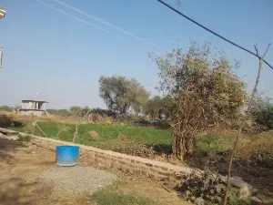 Siddh Baba Balak Das Mandir, Bhamar pura