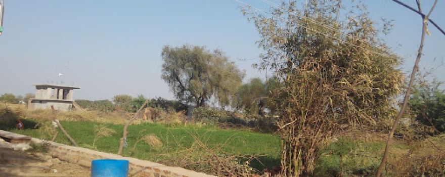 Siddh Baba Balak Das Mandir, Bhamar pura