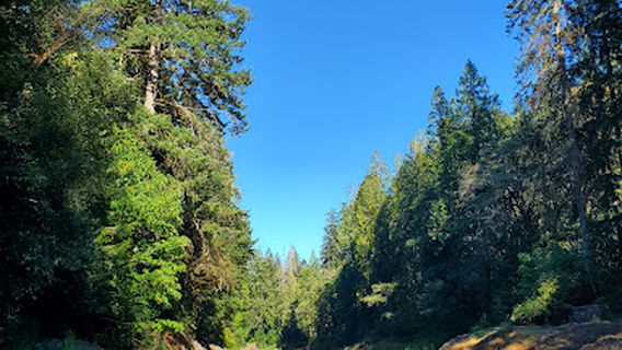 Rainbow Falls Trails