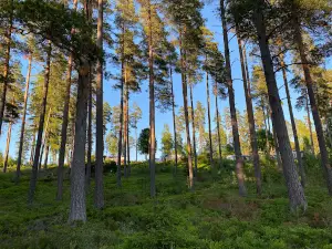 Strömsnäs Naturcamping