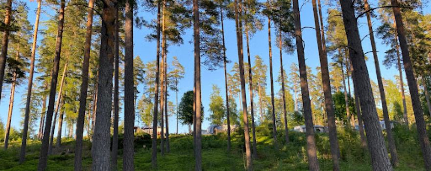 Strömsnäs Naturcamping