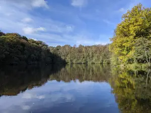 L'Accrobrancherie - Parc accrobranche