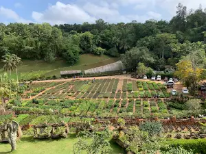 Kuzhipallam Botanical Garden