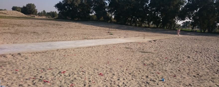 Happy Cricket Stadium