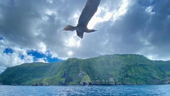 Blacktip Divers Costa Rica