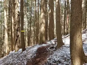 Andes Rail Trail