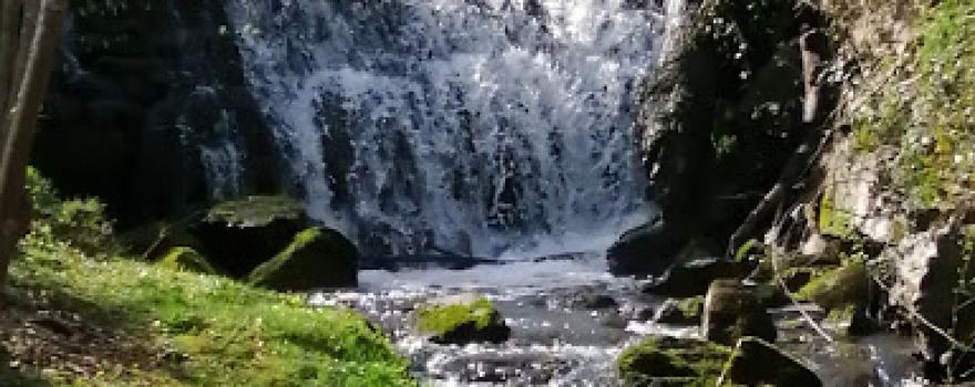 Le Terrançon