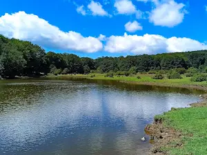 Piana del Lago
