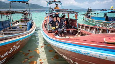 Monkey Beach