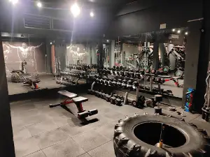 Muscle Power Gym