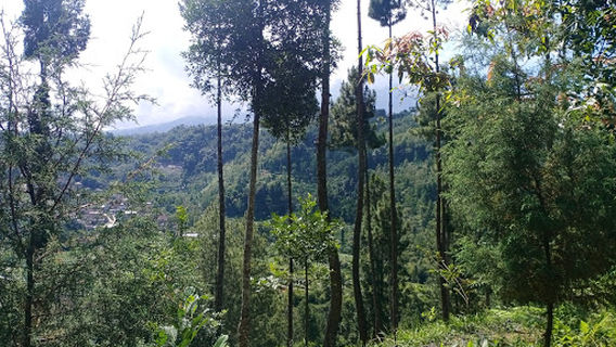 Buju Hills Campgrounds