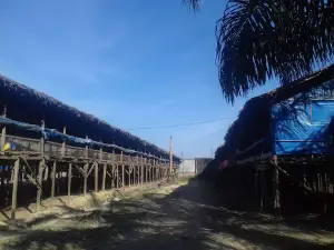 Stadion Meusapat Tugu Upah
