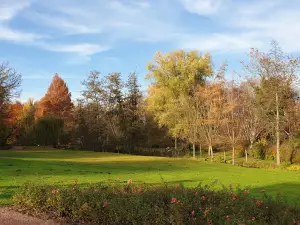 Kurpark