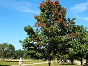 Betsie River Canoes & Campground