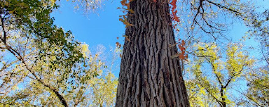 Rush River County Park