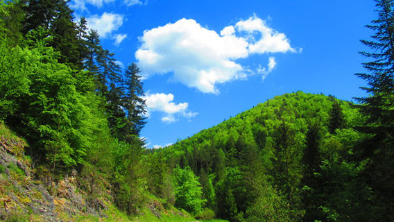 Spišské Vlachy