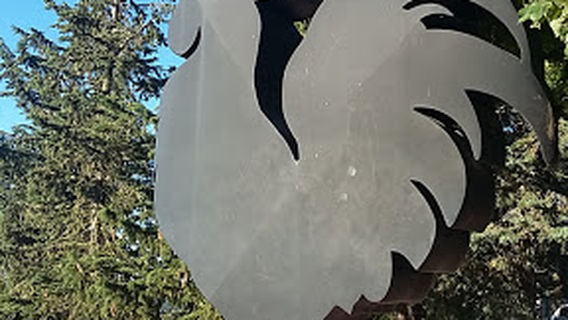 Gallo Nero - Castellina In Chianti