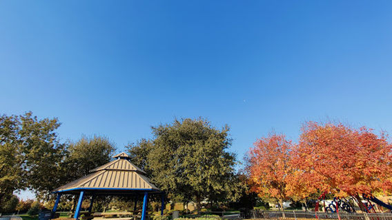 Elmer Murchie Park