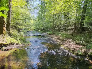 Laurel Hill Wildlife Management Area