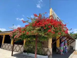 Tropikália Show & Recepções