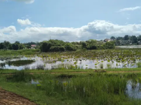 EIN KAUNG LAKE အင်ကောင်ကန်