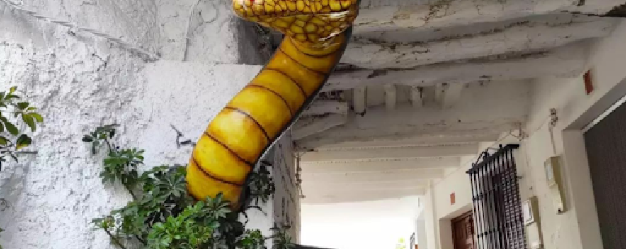 Visitas Guiadas Descubriendo Soportújar