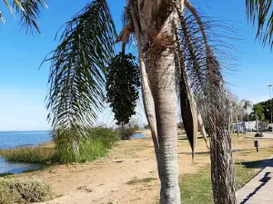 Beach of the Nereids
