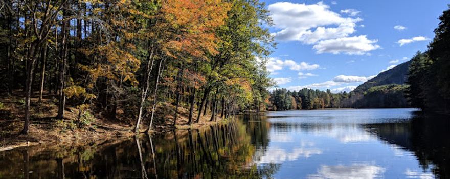 Cranberry Pond
