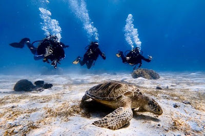 Haka Dive Center