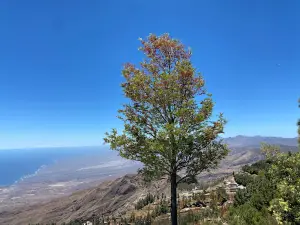 Pico da Cruz
