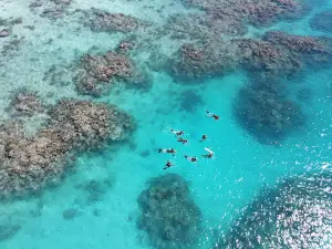 ABC Snorkel Charters