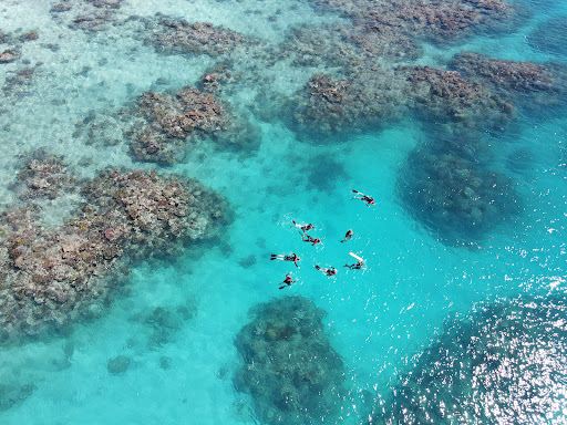 ABC Reef Safaris