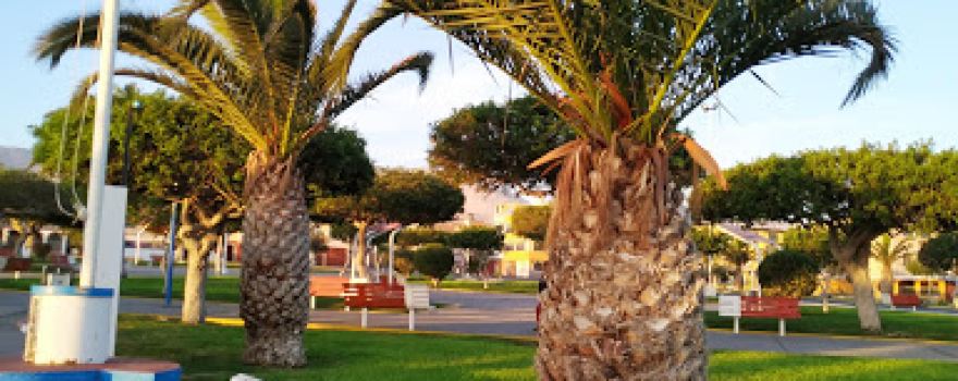 Minero Park