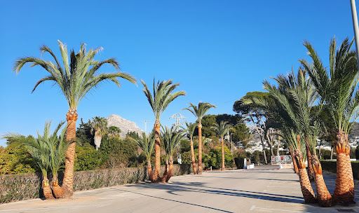 Camping Jávea