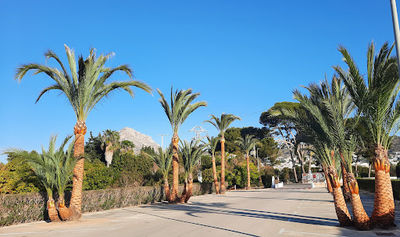 Camping Jávea