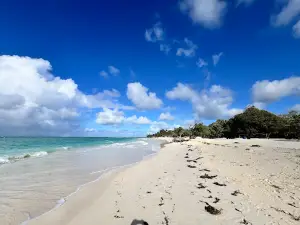Playa