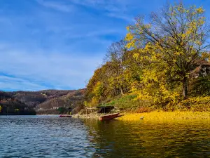 Ćelije lake