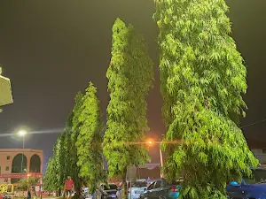 Padang Speedy, Teluk Intan