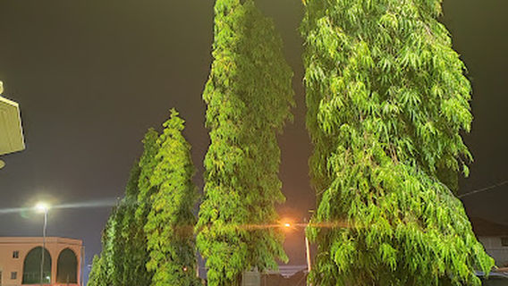 Padang Speedy, Teluk Intan