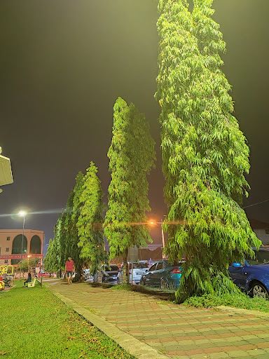 Padang Speedy, Teluk Intan